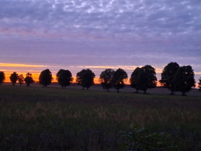 IMG_20260317_185657 IMG_20260317_185657